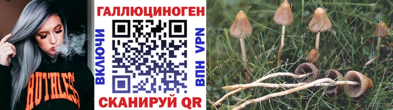 Псилоцибиновые грибы Cubensis kraken как войти Екатеринбург